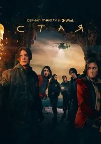Стая (сериал, 2022) 1 сезон смотреть онлайн на Лордфильм
